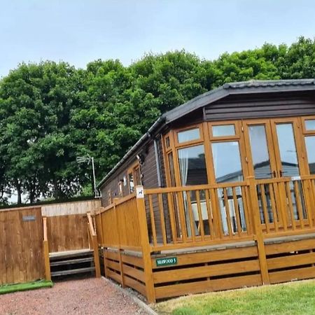The Getaway Lodge Felton  ภายนอก รูปภาพ